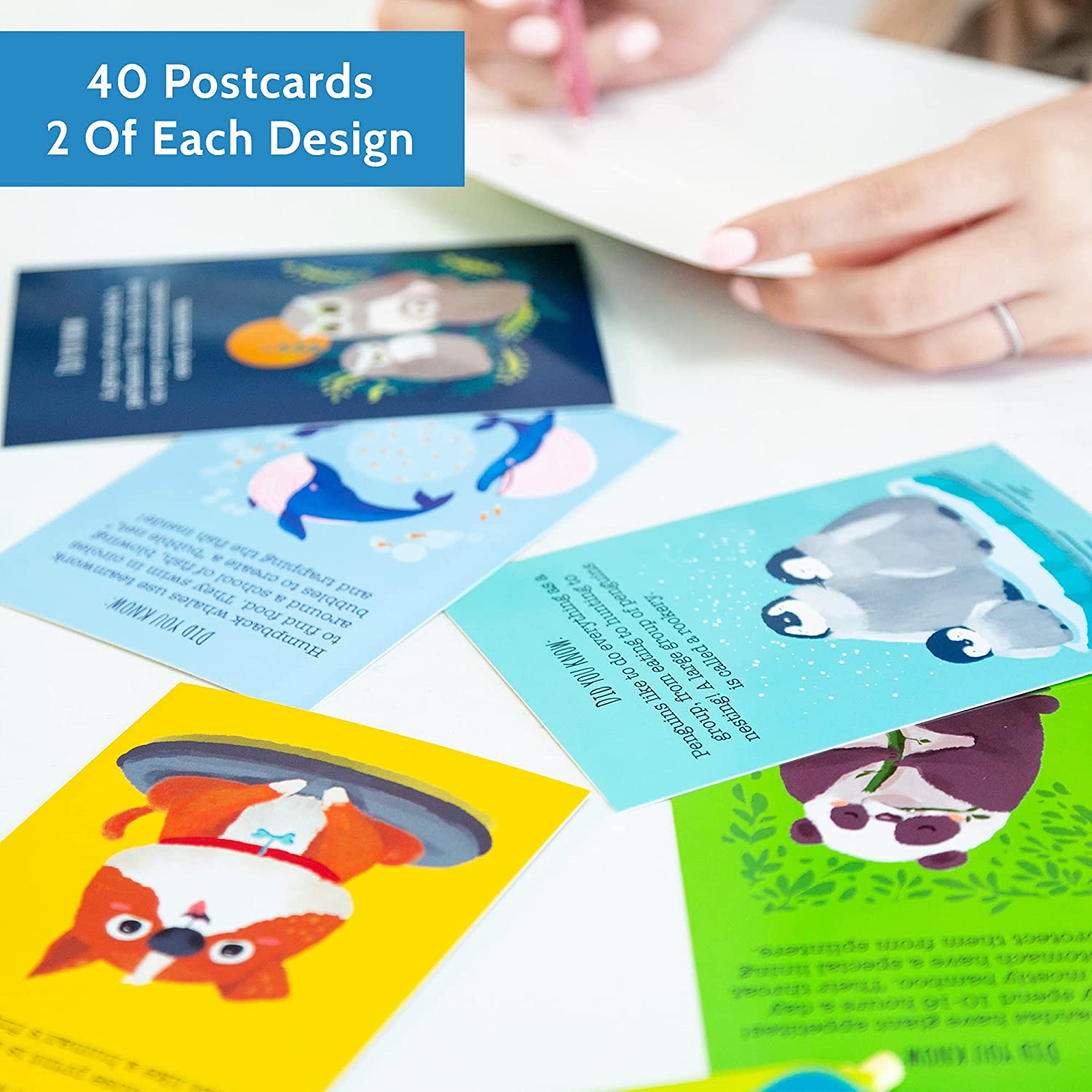 T MARIE 40 Animal Fun Fact Postcards - Bulk Thinking of You Postcard Pack for Kids, Students, Friends, Teacher, and More - Say Hello, Thank You or I Miss You with Colorful Note Cards - Image 2